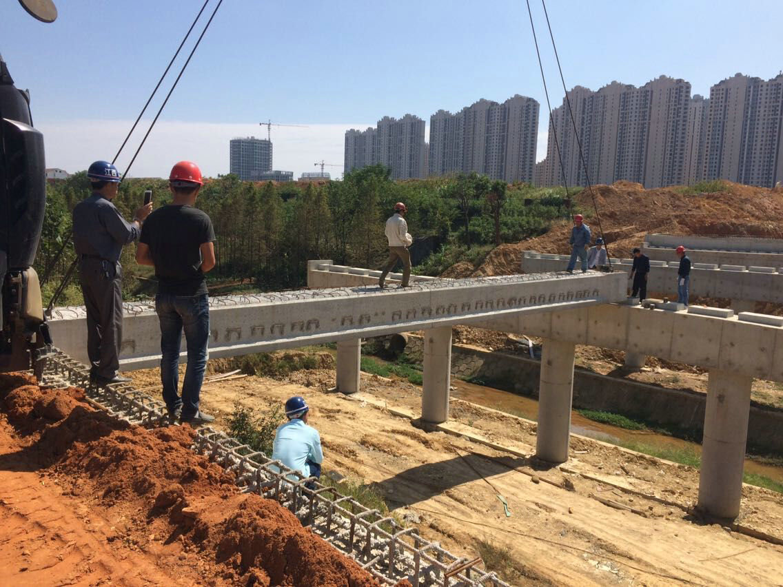 【工地快報】喜訊！紫荊路橋梁首片梁吊安裝成功啦！