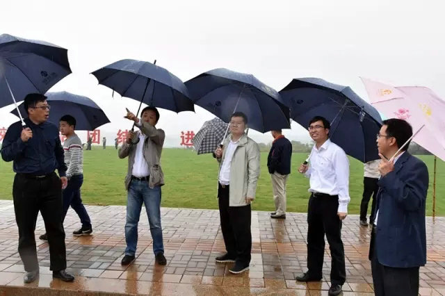 雨中巡視，把好&ldquo;新區(qū)&rdquo;掛牌前最后一道關(guān)！