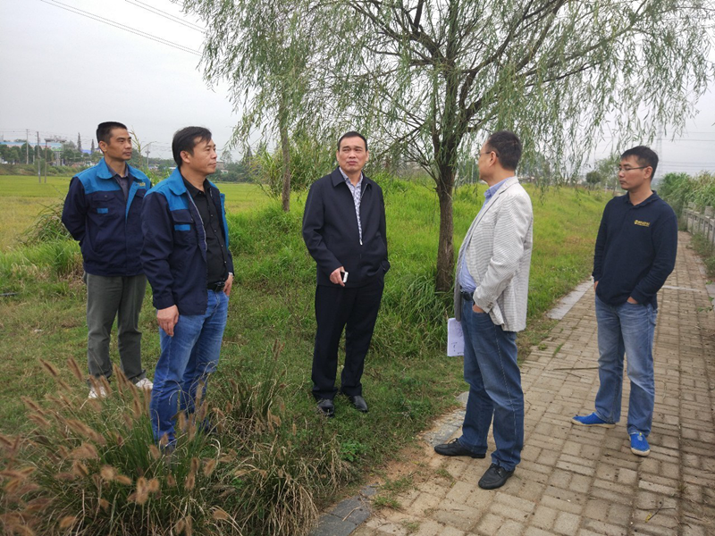 桑海產(chǎn)業(yè)園領(lǐng)導(dǎo)實(shí)地察看金力公司代建重點(diǎn)項(xiàng)目