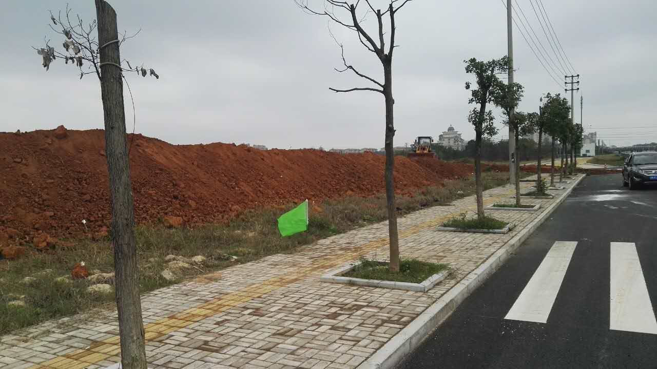 &ldquo;藥谷一條街&rdquo;項目正式開工