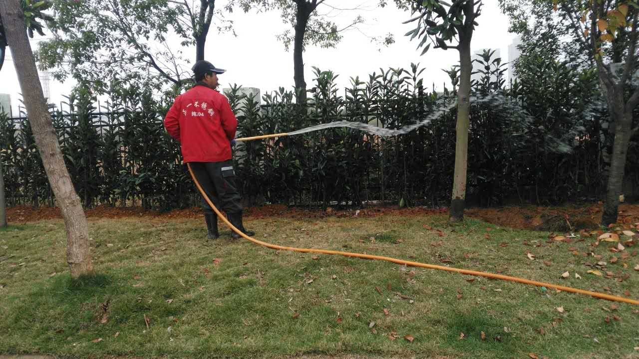 管護(hù)公司開(kāi)展冬季道路綠化植被養(yǎng)護(hù)工作