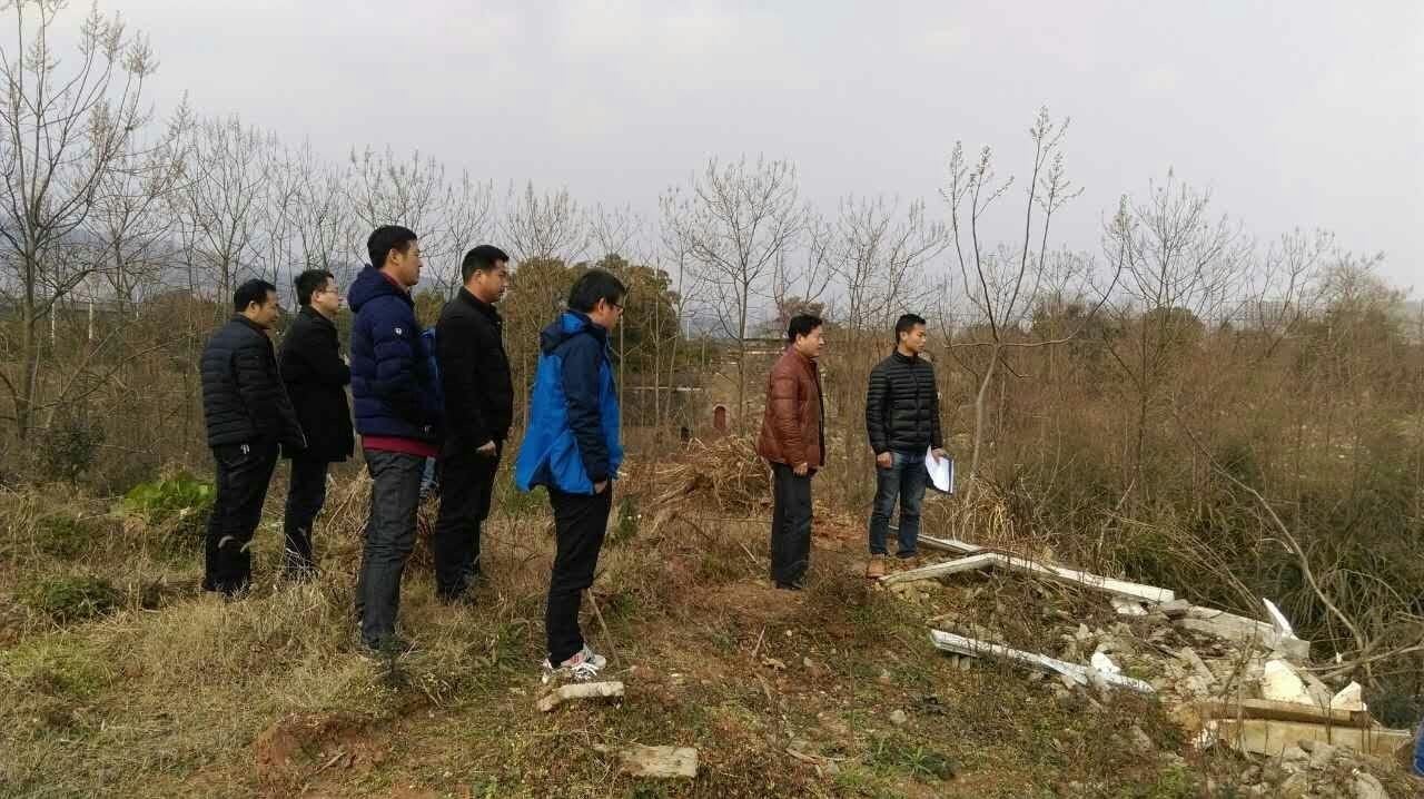 協(xié)調(diào)解決問題 力促項目提速