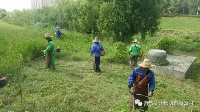 灑下汗水收獲美麗 致城市的高級(jí)美容師&mdash;&mdash;園林工人 