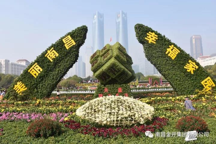 美！萬千菊花姹紫嫣紅 &ldquo;活力經(jīng)開&rdquo;初露真容
