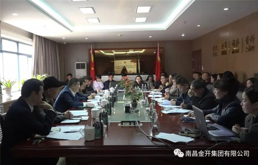 金開(kāi)集團(tuán)黨委召開(kāi)2017年度基層黨建工作述職評(píng)議會(huì)議
