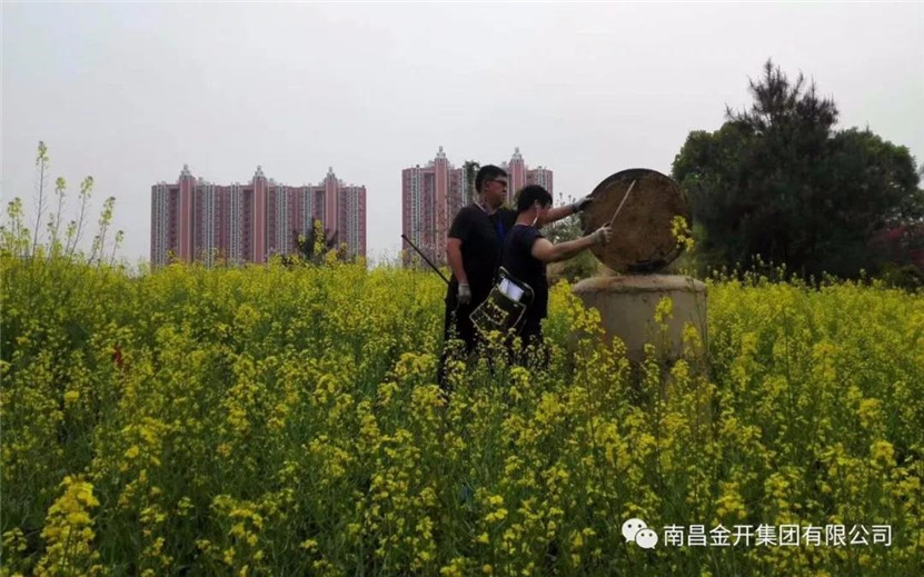 管護(hù)公司對(duì)區(qū)內(nèi)雙港大道等14條污水管道開(kāi)展管道檢測(cè)工作