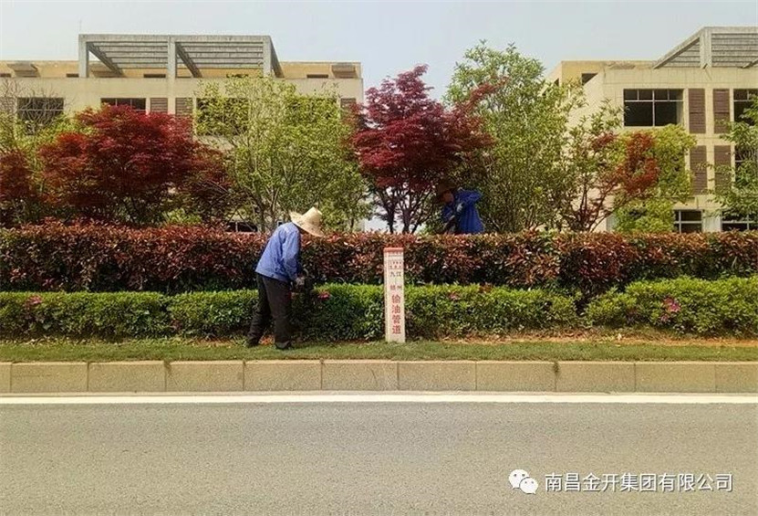 全力開展環(huán)境整治&nbsp; 營(yíng)造清潔優(yōu)美環(huán)境