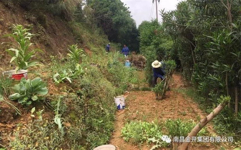 整治違規(guī)菜地，還居民一個良好生活環(huán)境