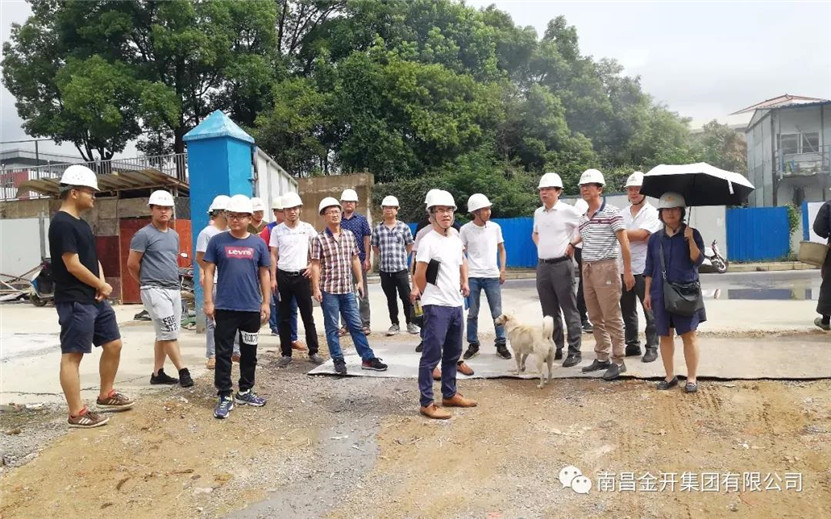 項目公司組織開展專家現(xiàn)場檢查活動