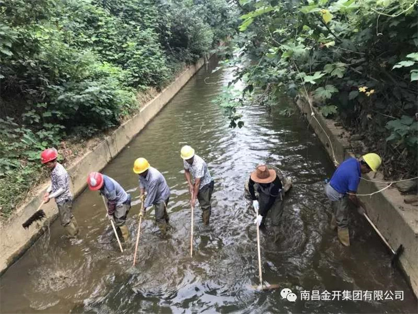 龍?zhí)端?、麥廬支渠黑色底泥清淤處置工作正穩(wěn)步推進中