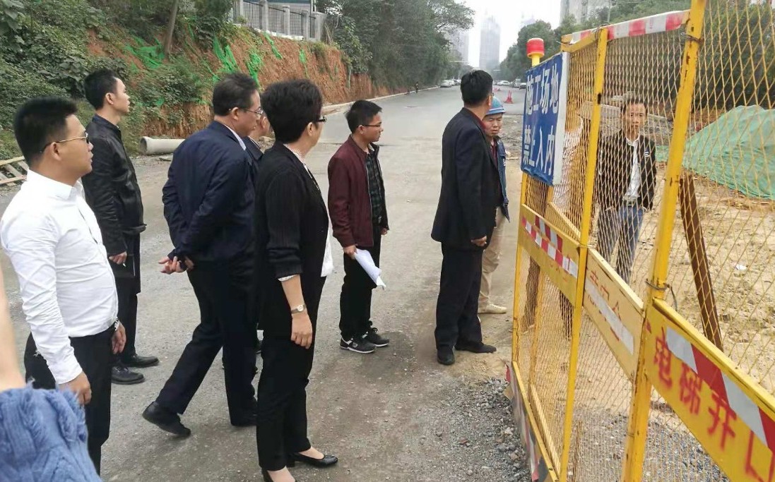 區(qū)管委會(huì)副主任王勵(lì)現(xiàn)場(chǎng)調(diào)研黃家湖東路、菊圃路等項(xiàng)目城