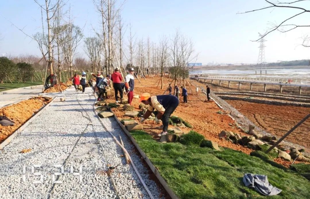 又一新去處！儒樂湖生態(tài)公園將于春節(jié)前開園 