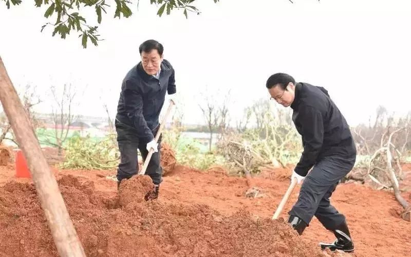 迎春潮 | 省委書記、省長帶領(lǐng)大家一同植樹 