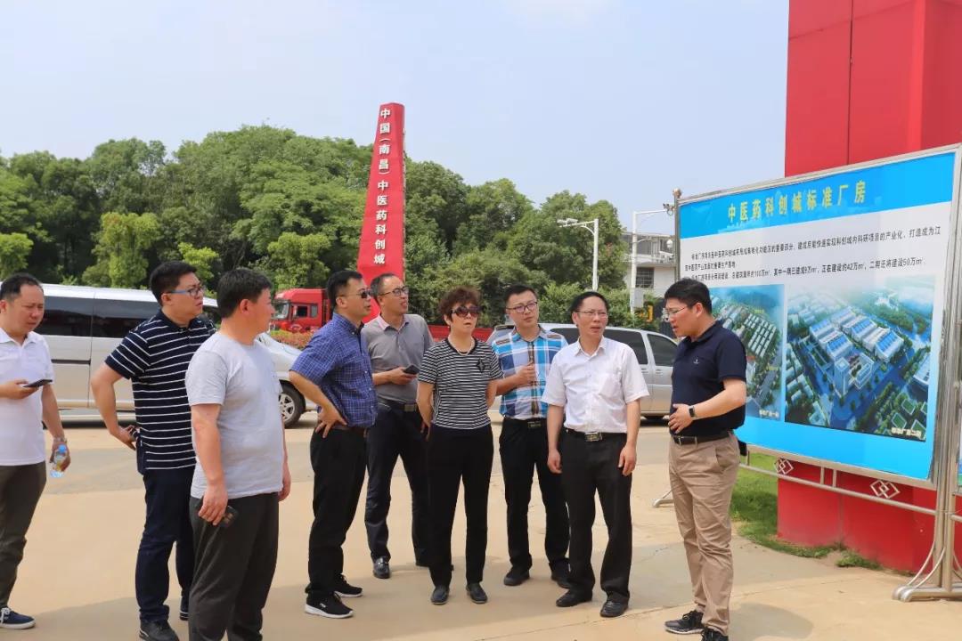 吉林省工業(yè)和信息化廳醫(yī)藥處處長(zhǎng)張迎紅一行來(lái)到中醫(yī)藥科