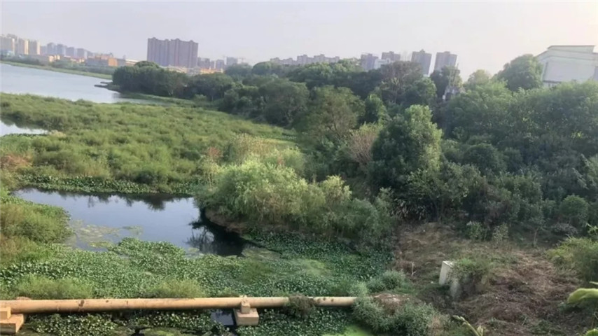 工匠集團(tuán)召開黃家湖上湖湖體綜合整治工程現(xiàn)場(chǎng)調(diào)度會(huì)