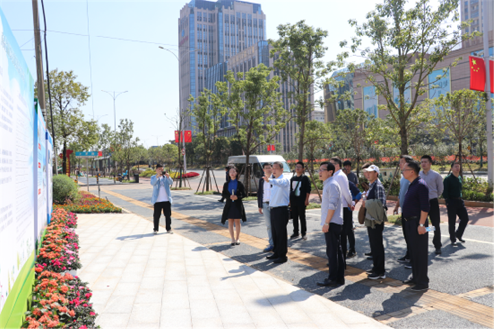 市政府副秘書(shū)長(zhǎng)楊保根帶隊(duì)調(diào)研經(jīng)開(kāi)區(qū)郵票綠地建設(shè)情況