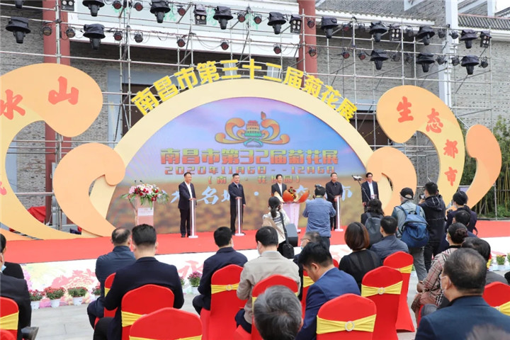 經(jīng)開區(qū)菊花展作品驚艷亮相