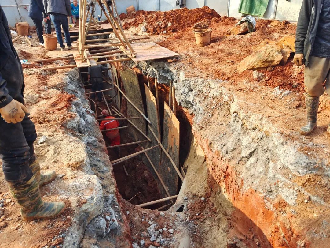 我為群眾辦實(shí)事 │ 辦實(shí)事、解民憂、暖民心