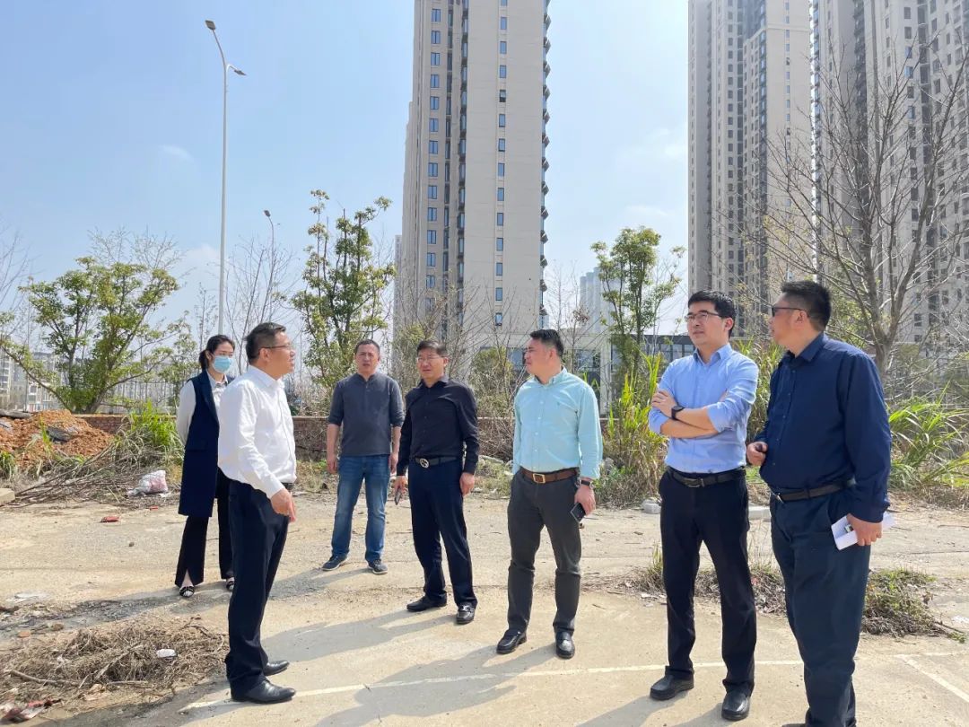 賀敏現(xiàn)場(chǎng)調(diào)研集團(tuán)地產(chǎn)板塊新摘土地項(xiàng)目