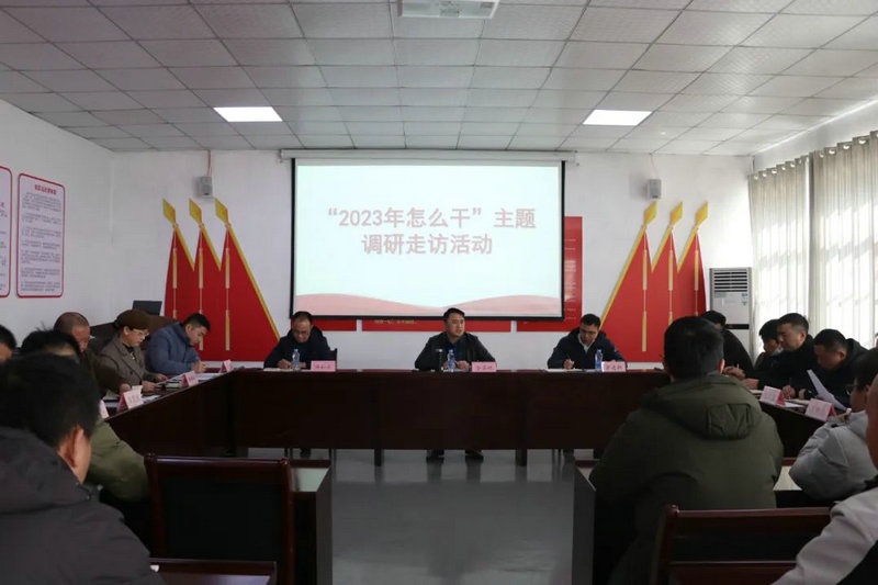 集團領(lǐng)導(dǎo)調(diào)研子公司：以市場化發(fā)展彰顯平臺功能