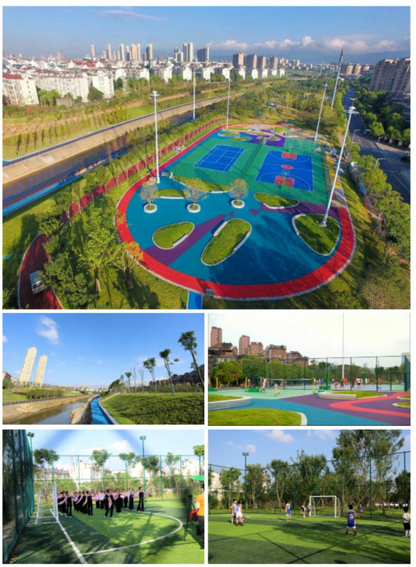 喜報！龍?zhí)豆珗@榮獲&ldquo;最美公園&rdquo;&ldquo;最美綠道&rdquo;榮譽稱號