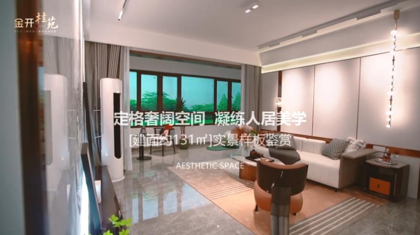 金開(kāi)桂苑樣板房視頻