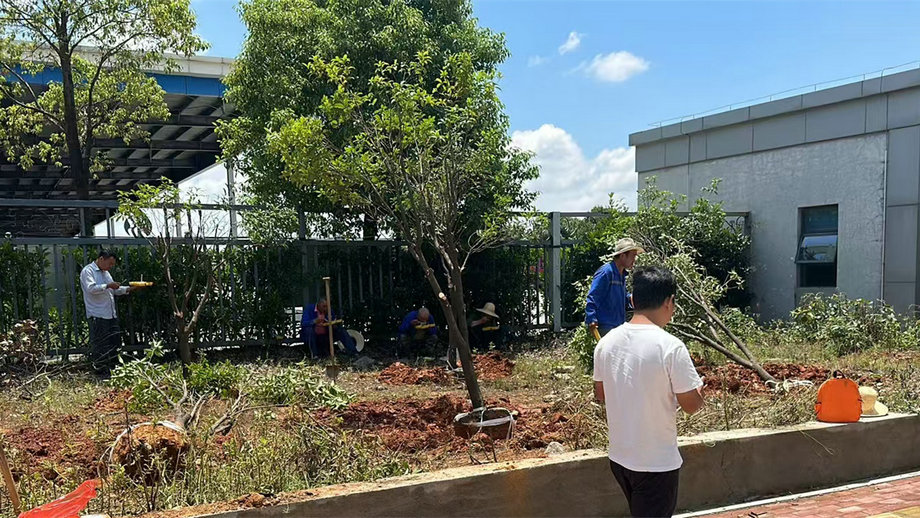 搶進度 抓細節(jié) 保成活&mdash;&mdash;機場三期苗木移植工作穩(wěn)步推進